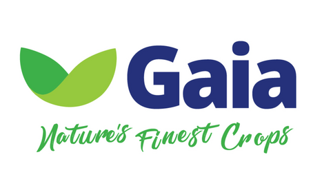 Gaia Berlin GmbH